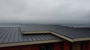 Best Green or Eco-Friendly Roofing Solutions  in Lincolnton, GA